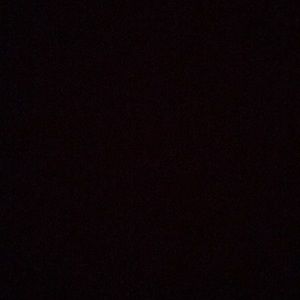 Meet your Posher, Noah